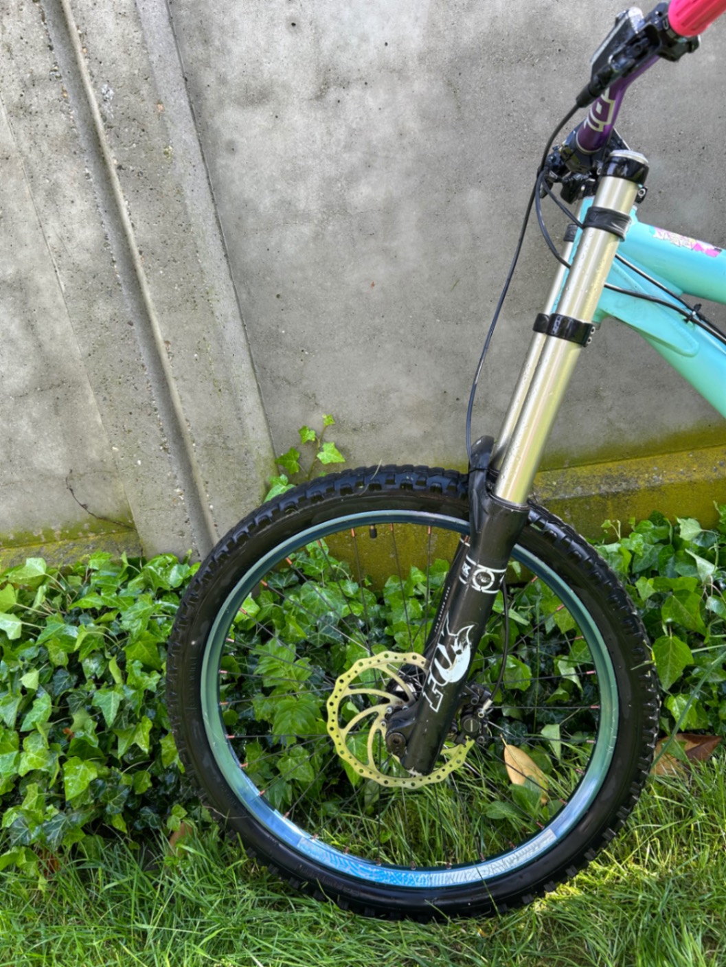 Bike view 7