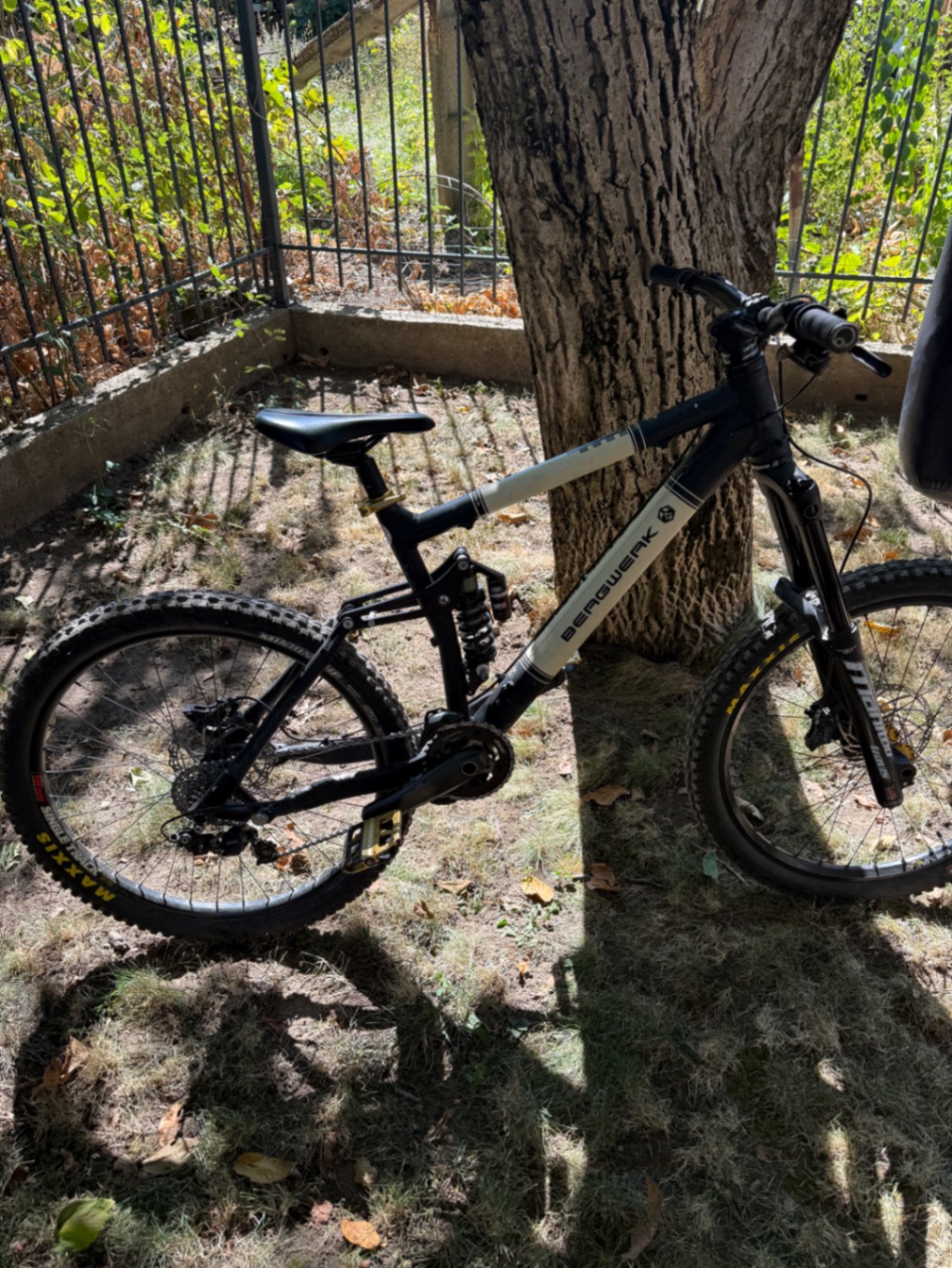 Bike view 5