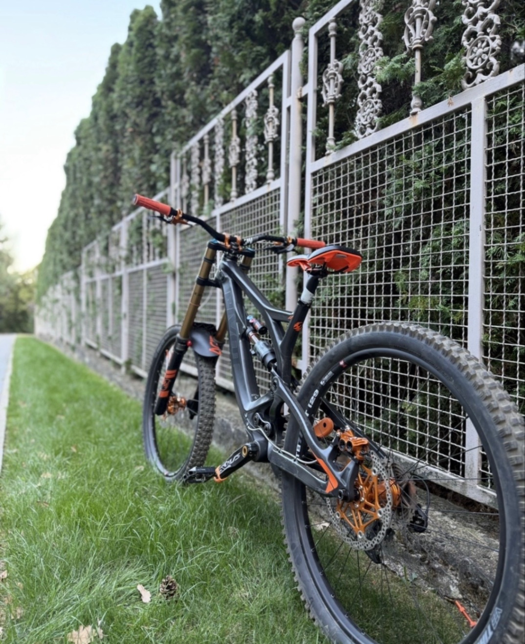 Bike view 9