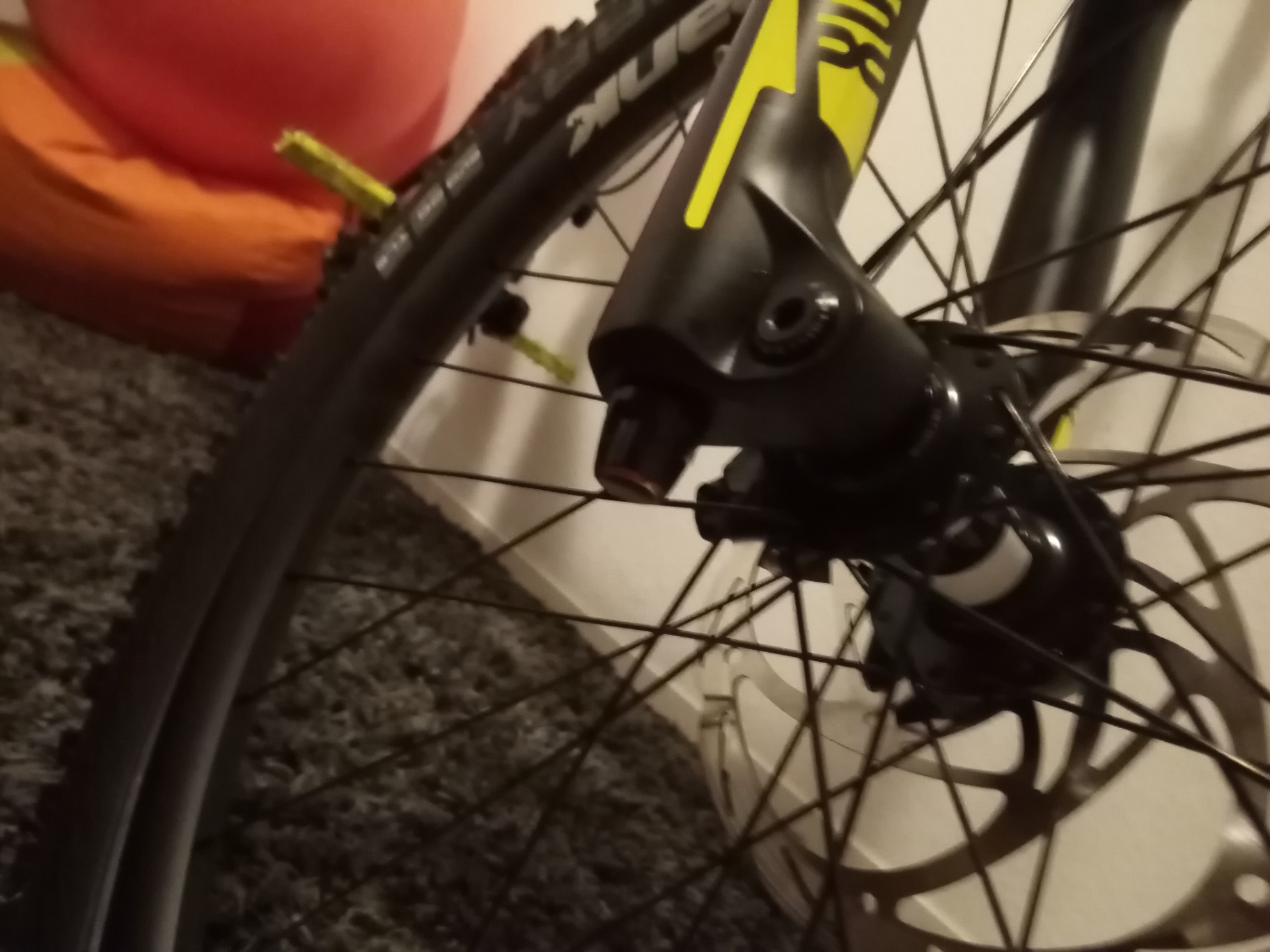 Bike view 8