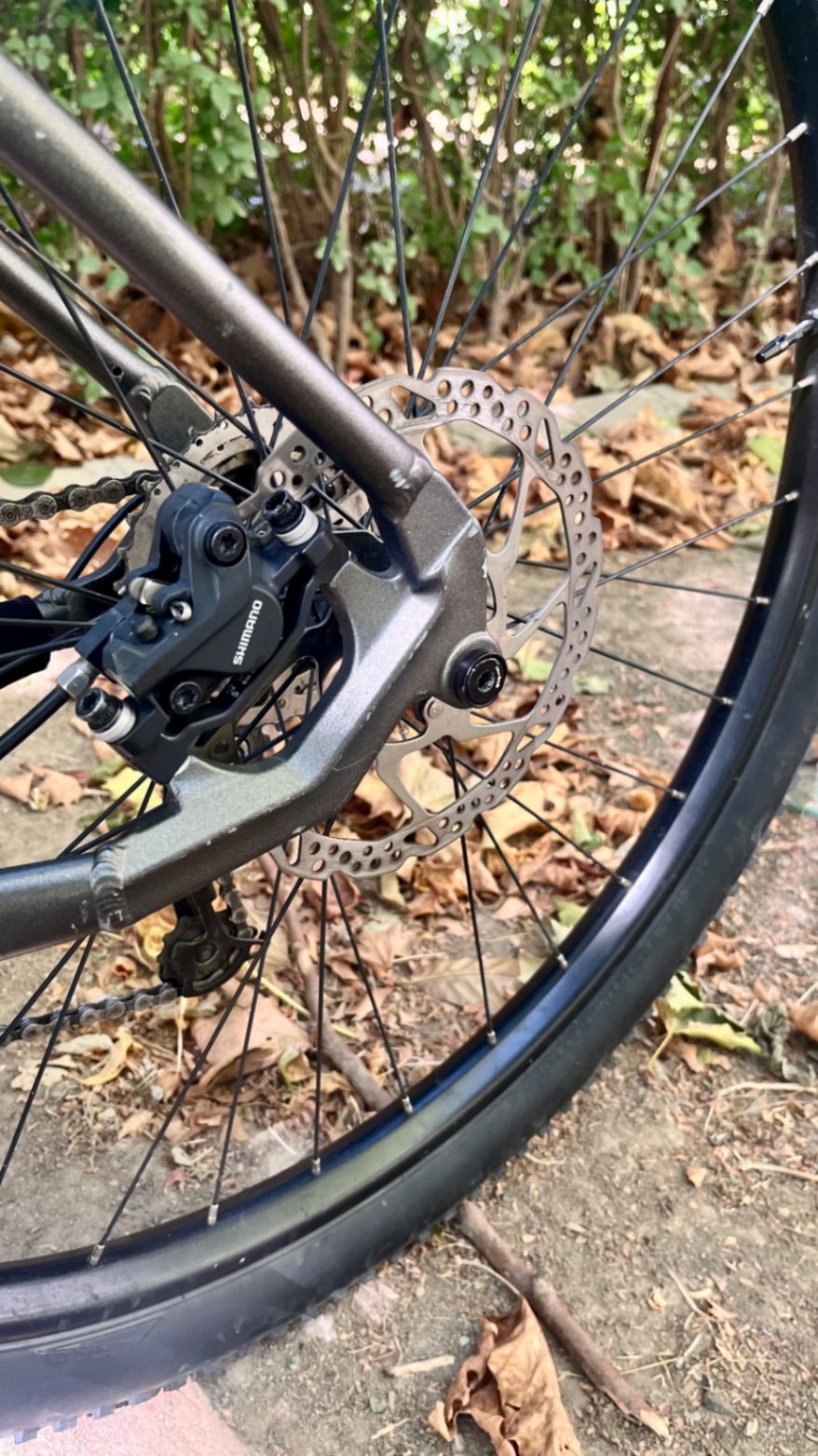 Bike view 7