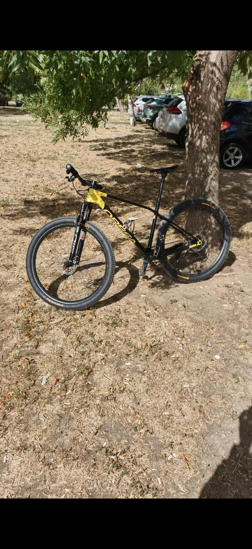Orbea Alma M-Team