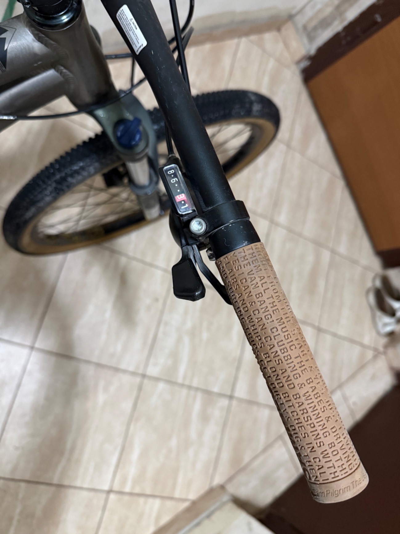 Bike view 7