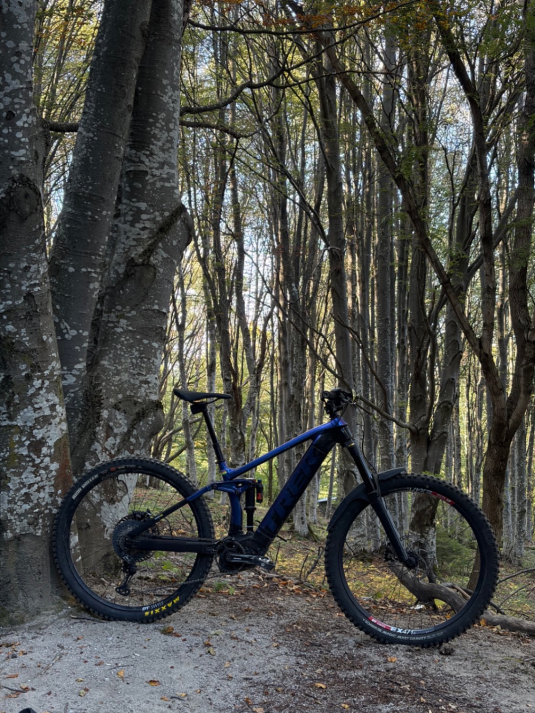 Bike view 2