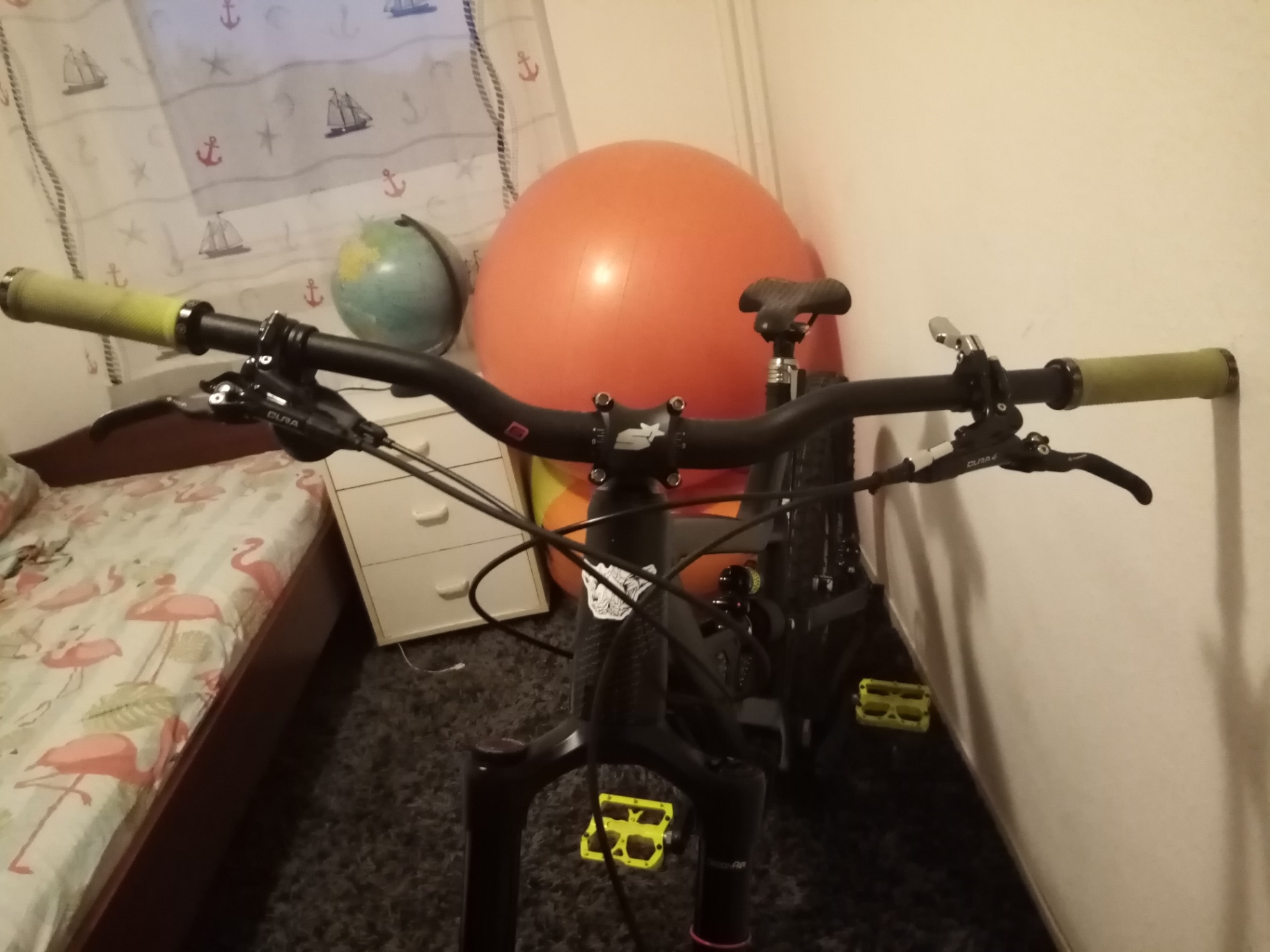 Bike view 12