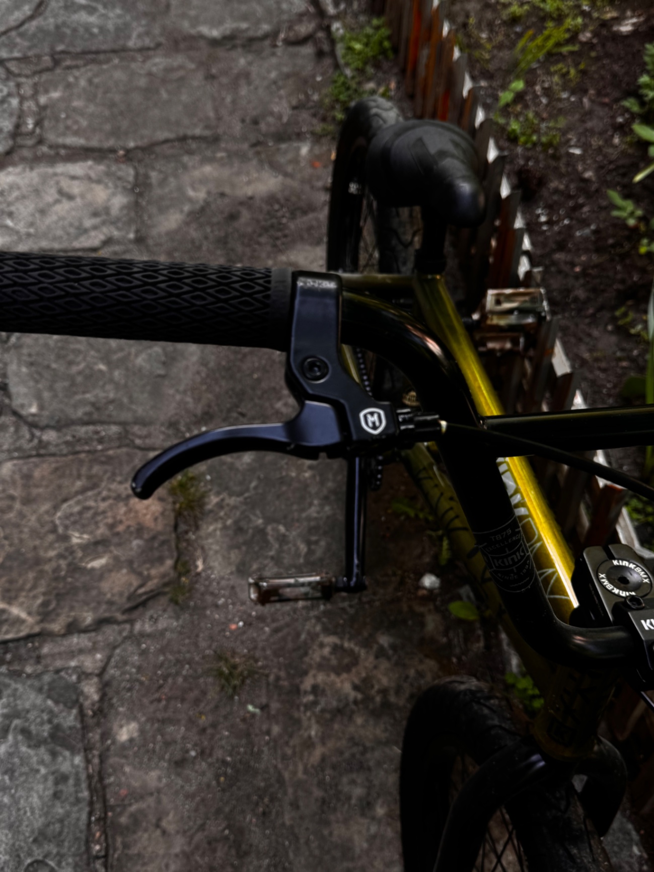 Bike view 7