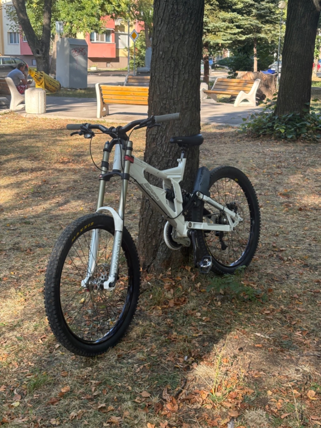 RAM Bikes dhx