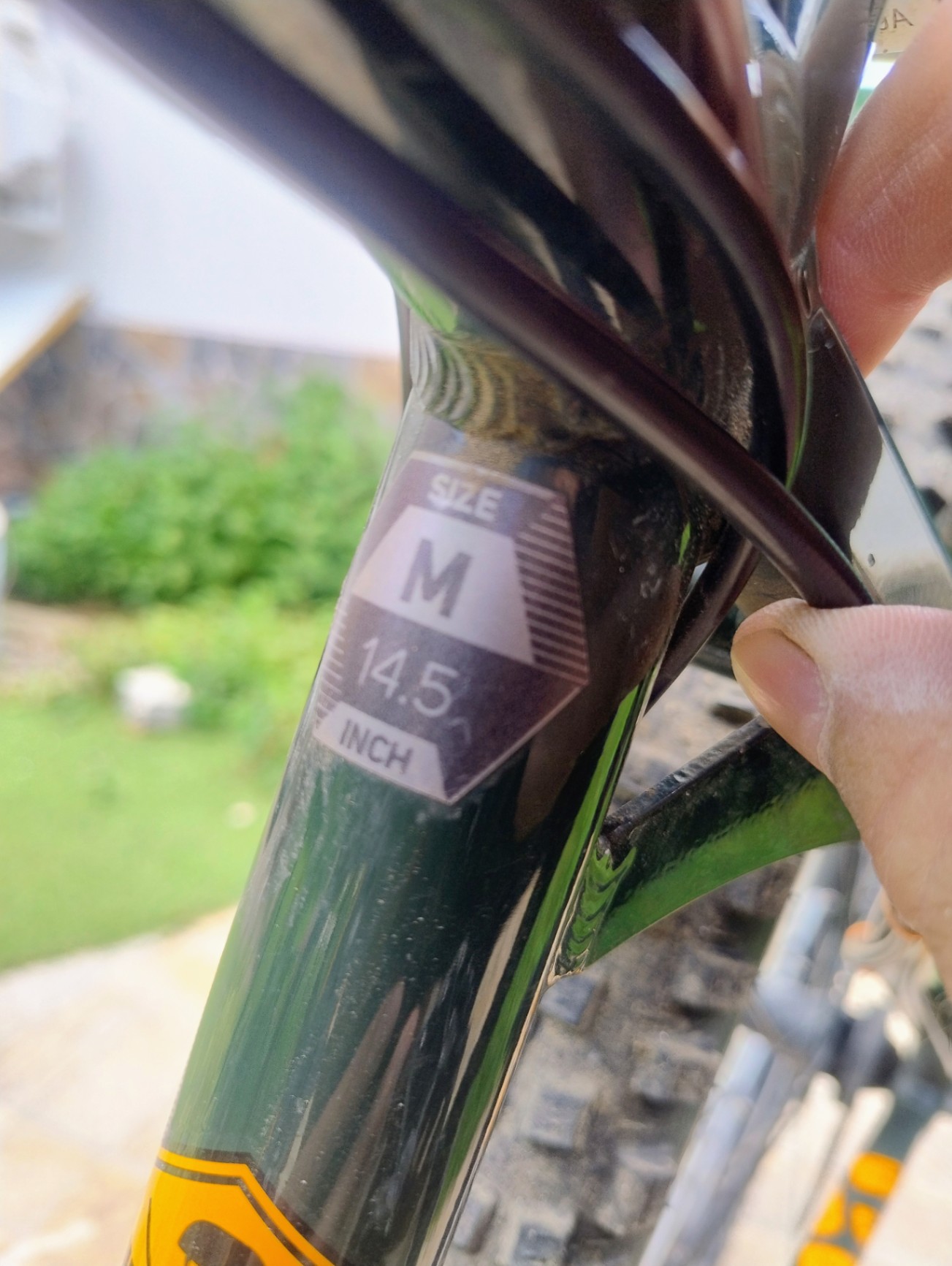 Bike view 9