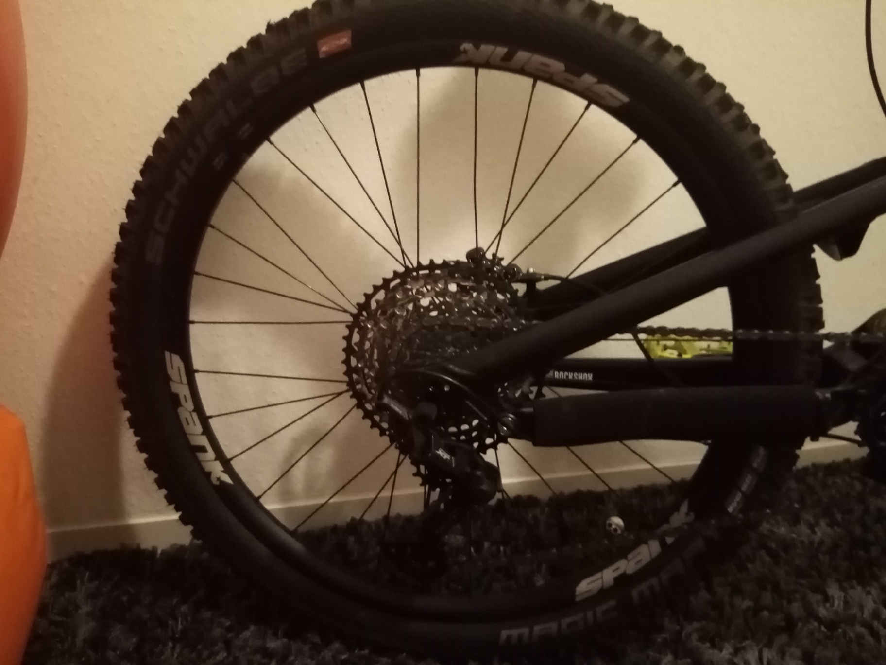 Bike view 10