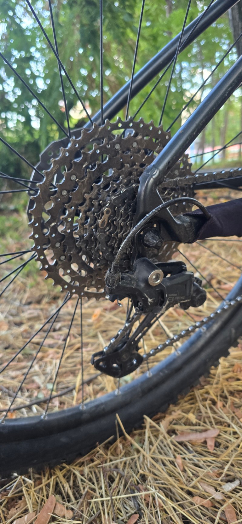 Bike view 6