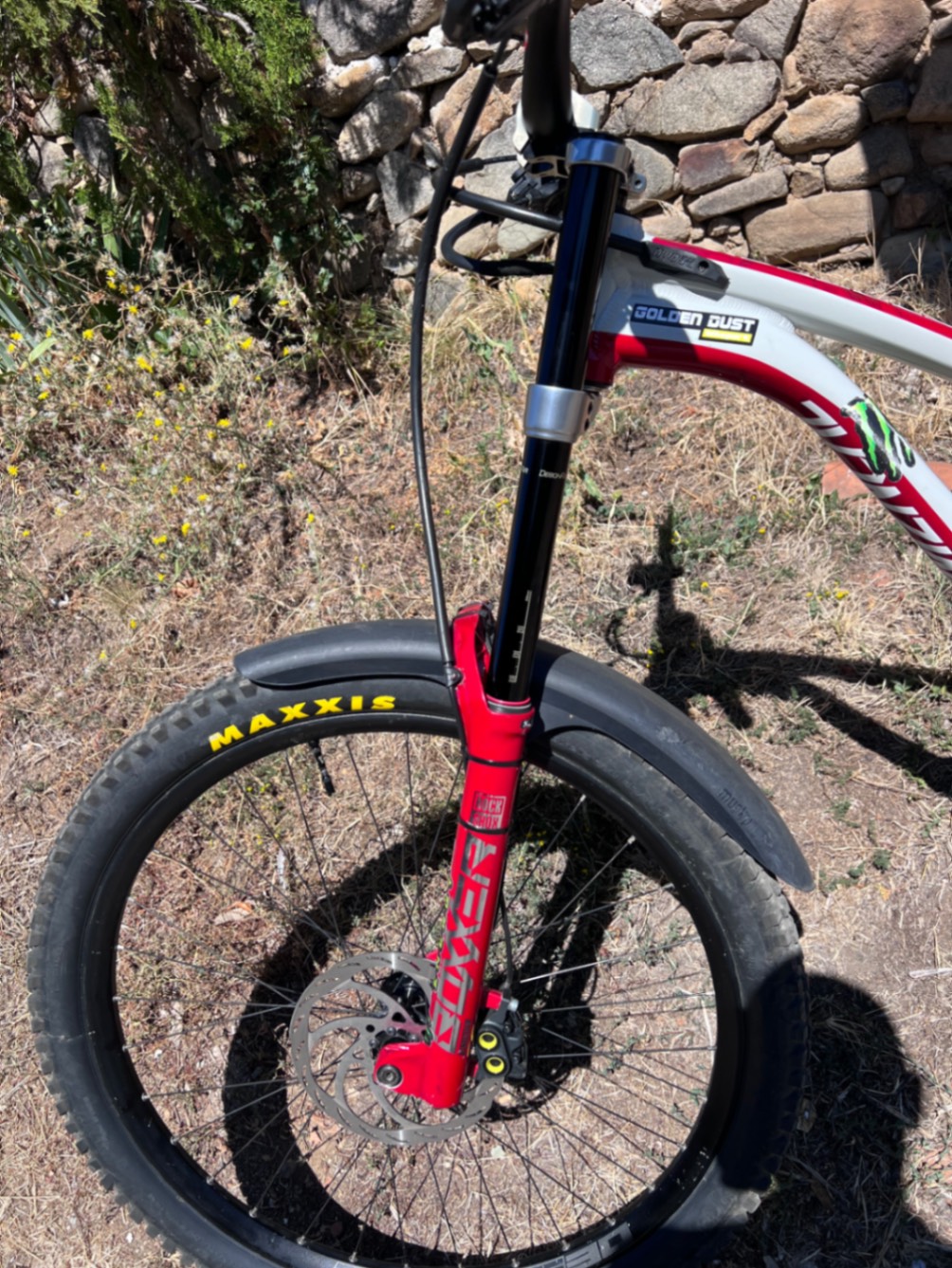 Bike view 9