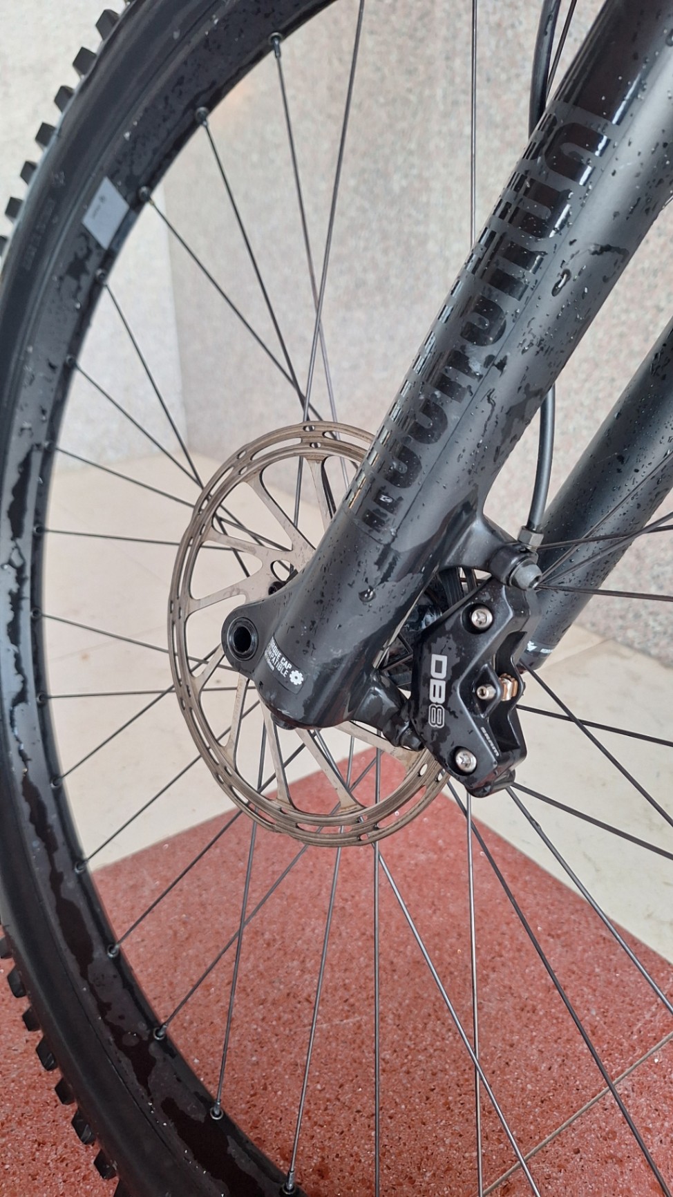 Bike view 8