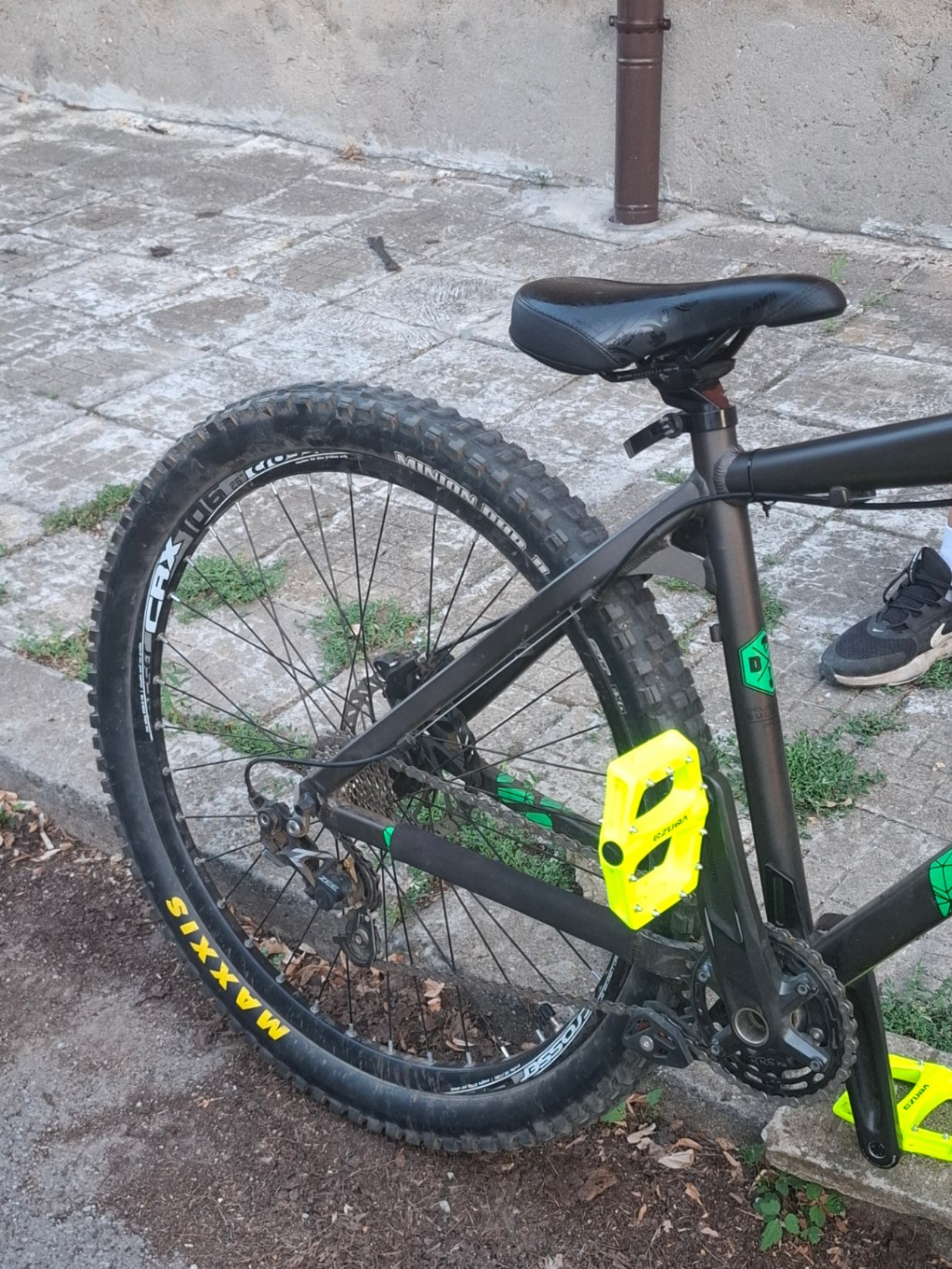 Bike view 5