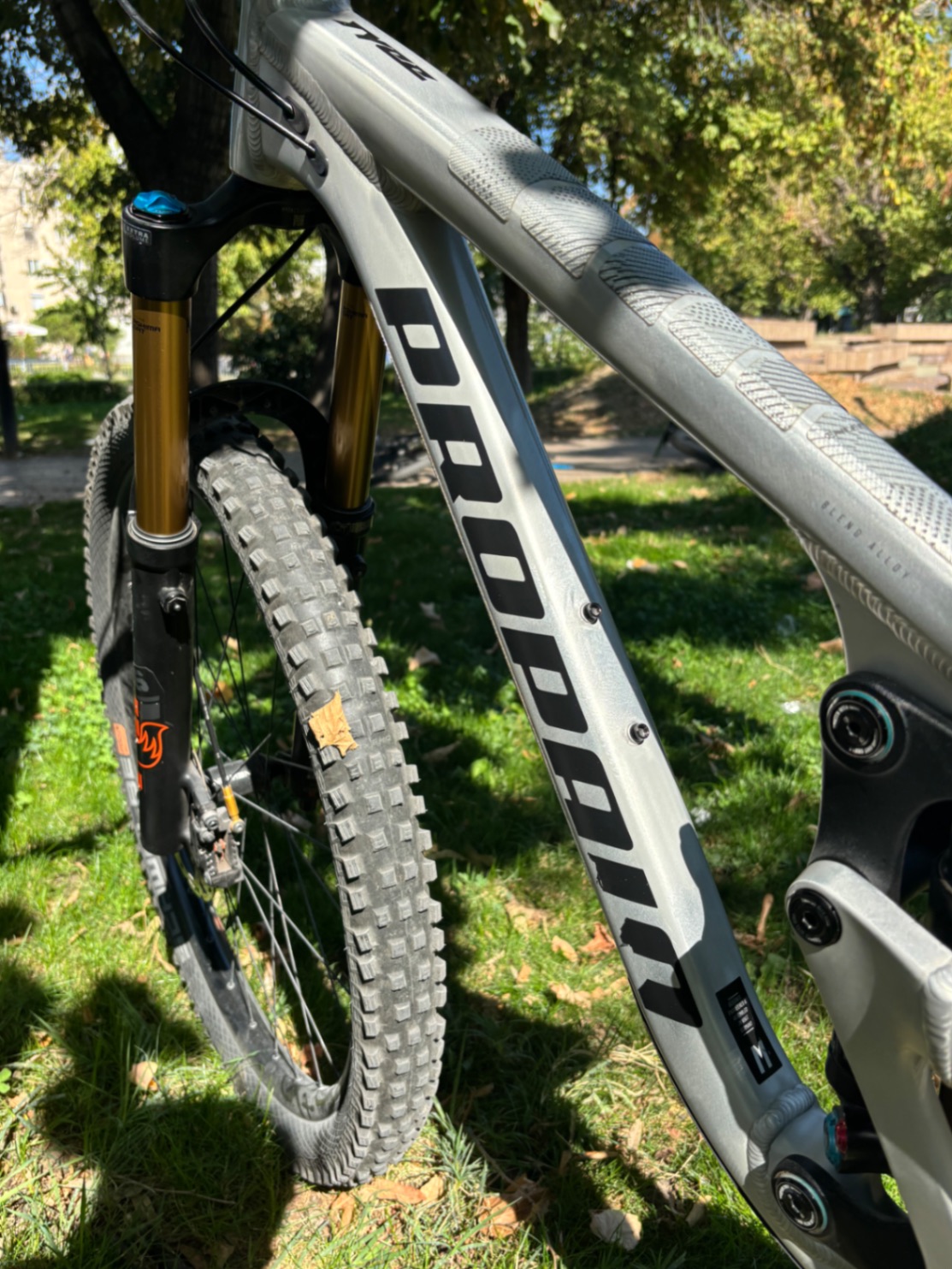 Bike view 8