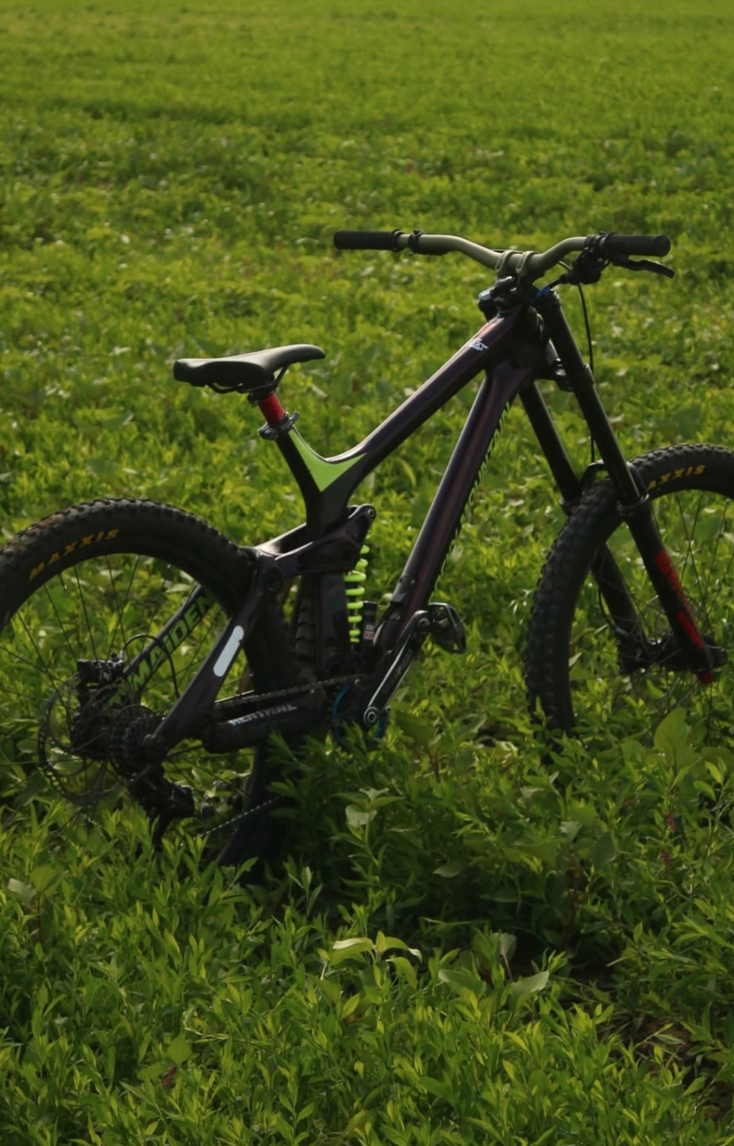 Rocky Mountain Maiden