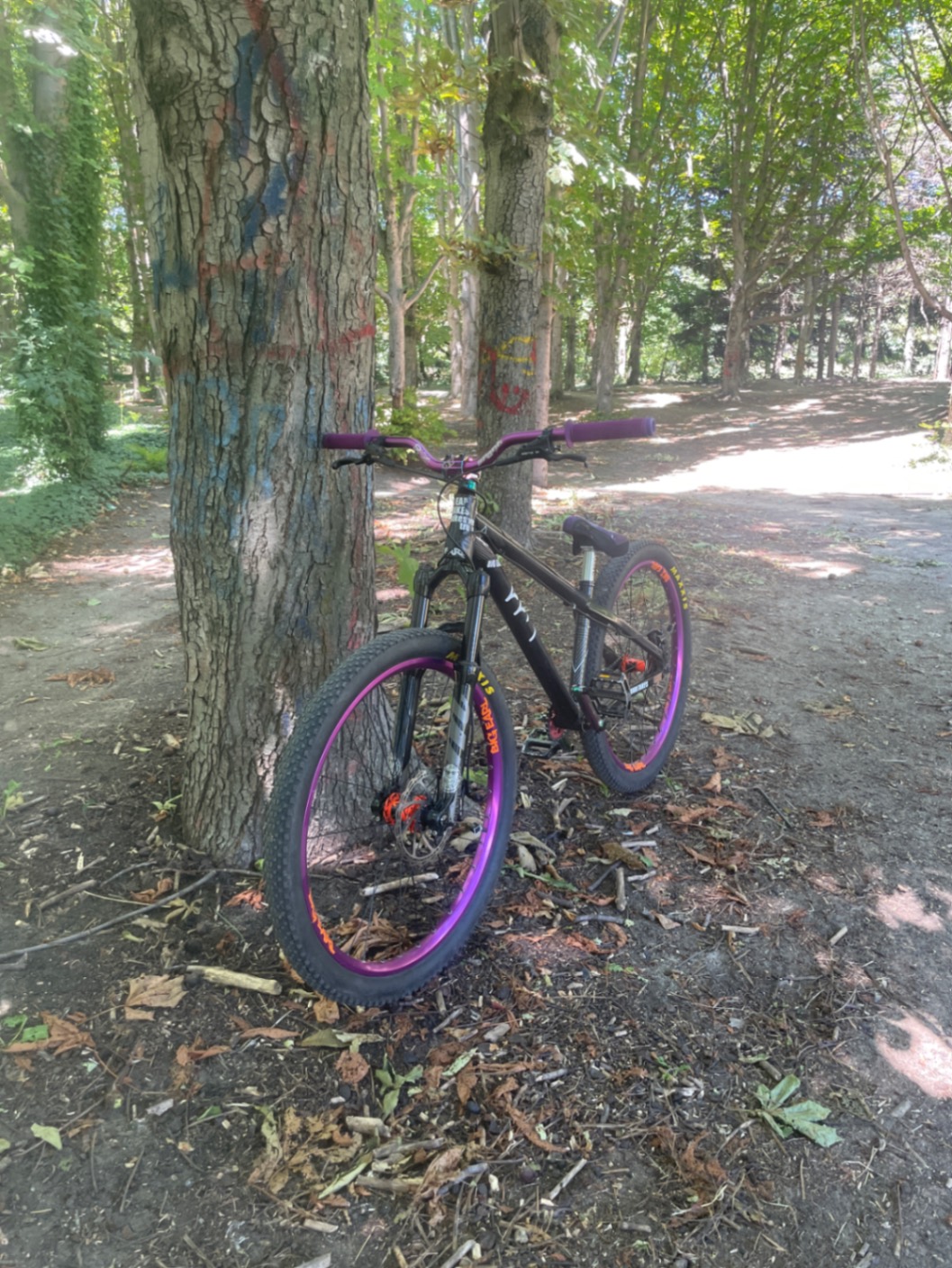 Bike view 3