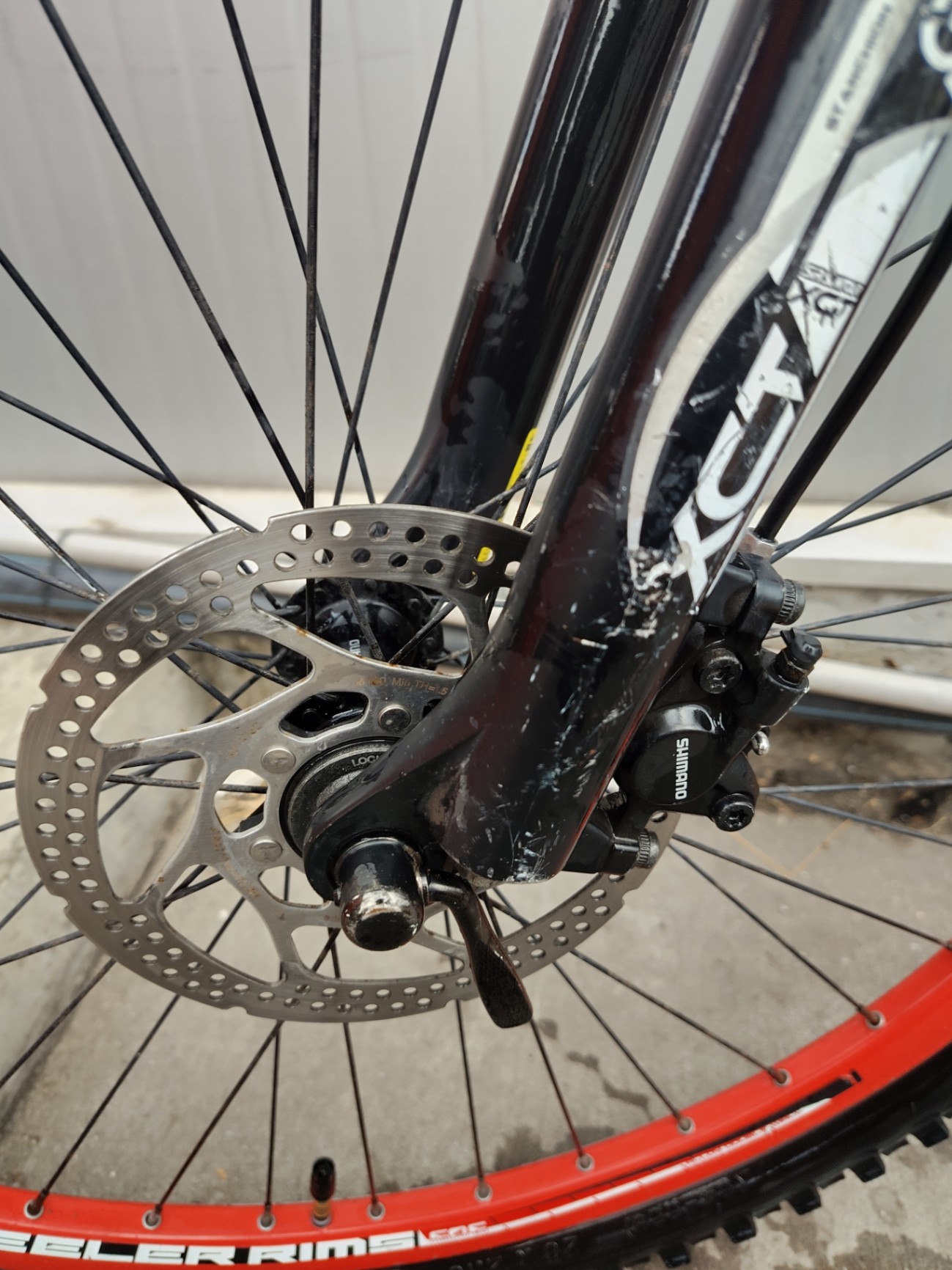 Bike view 6