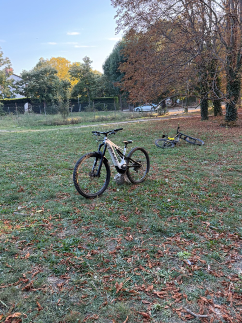 Bike view 5