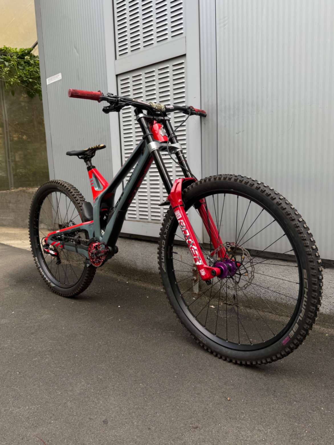 Bike view 5
