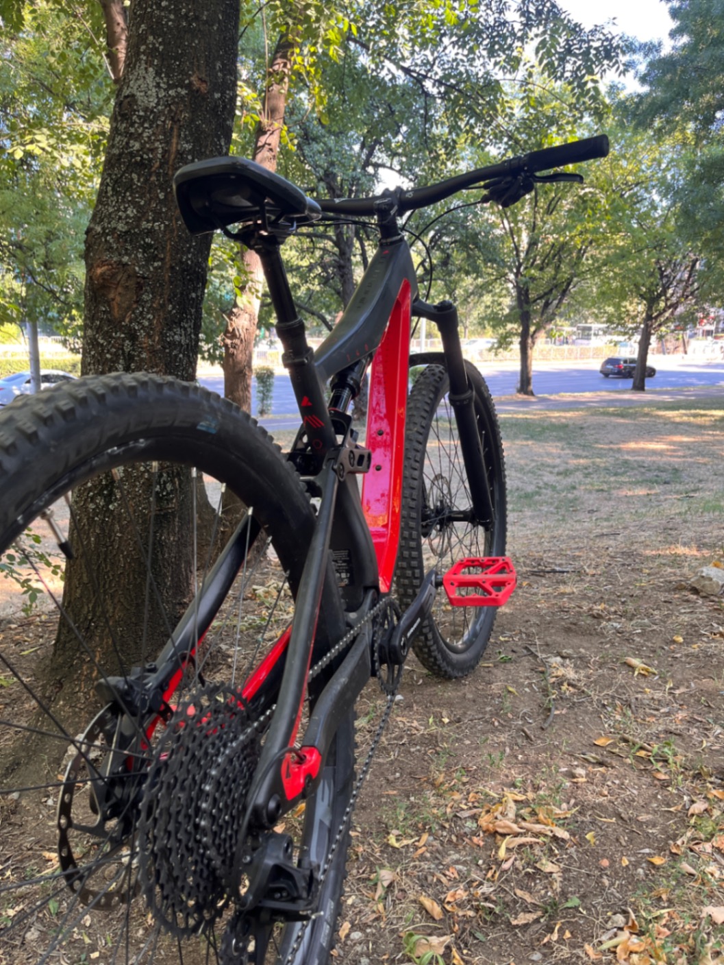 Bike view 2