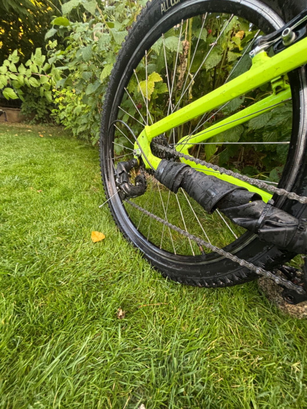 Bike view 3