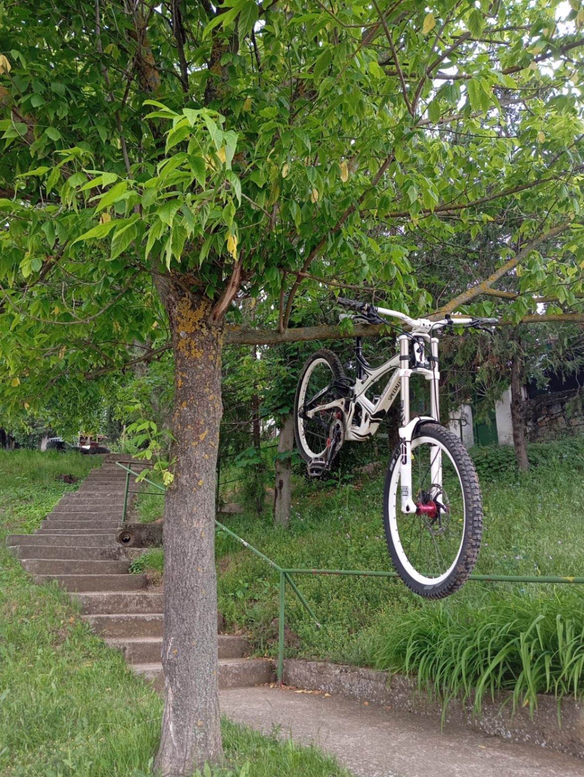 Bike view 4