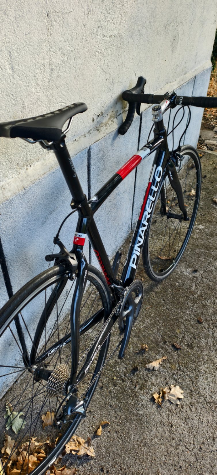 Bike view 8
