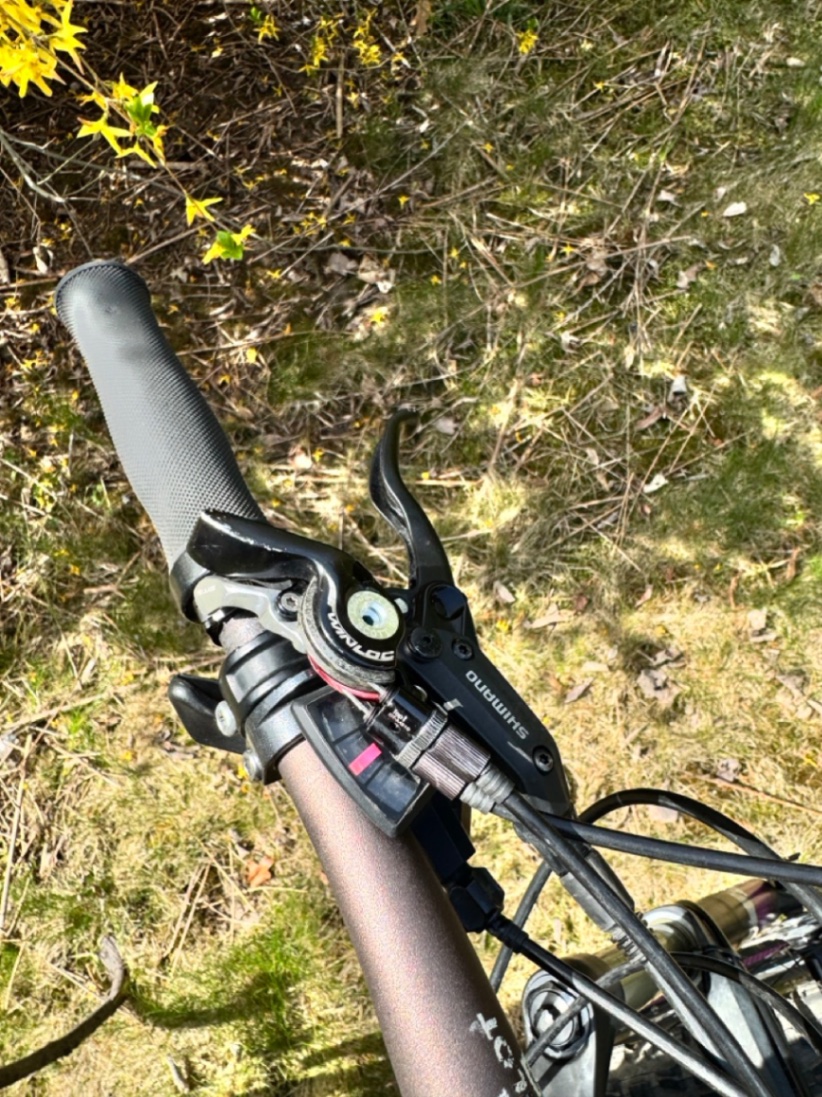 Bike view 10