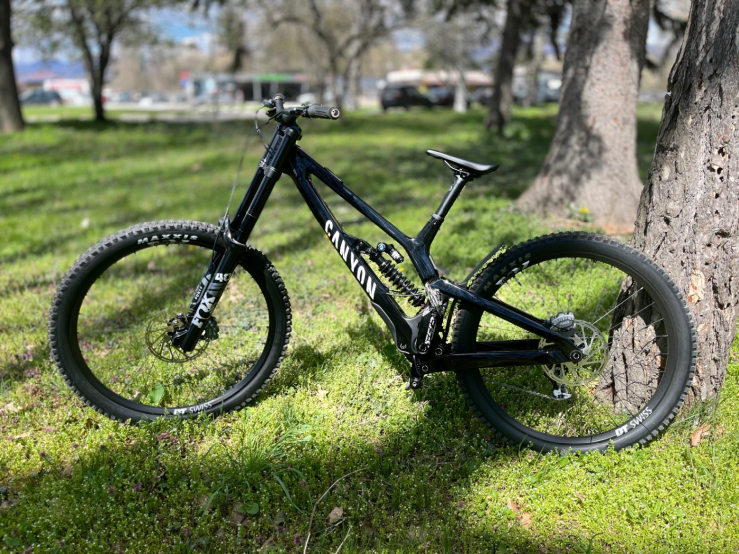 Bike view 11