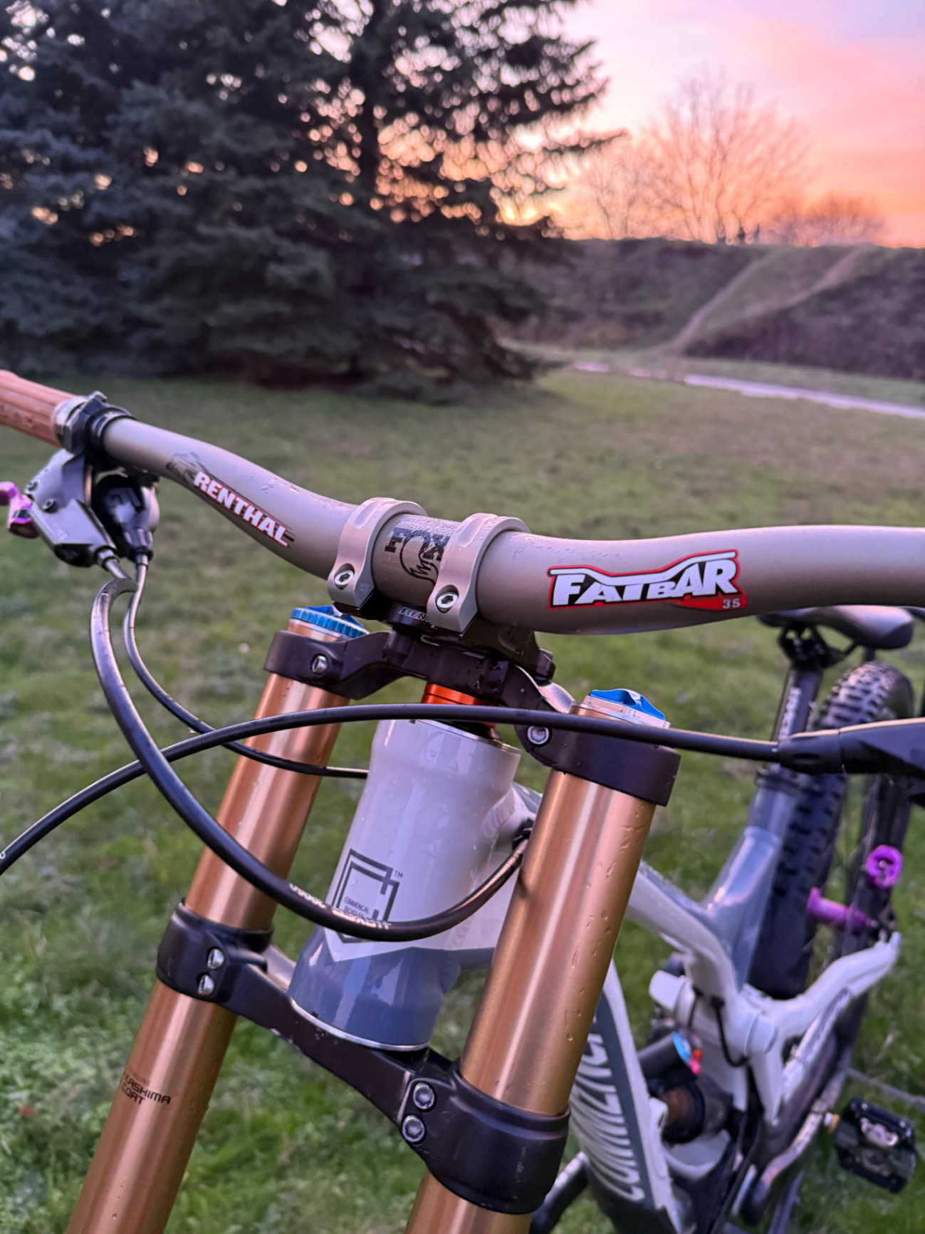 Bike view 5