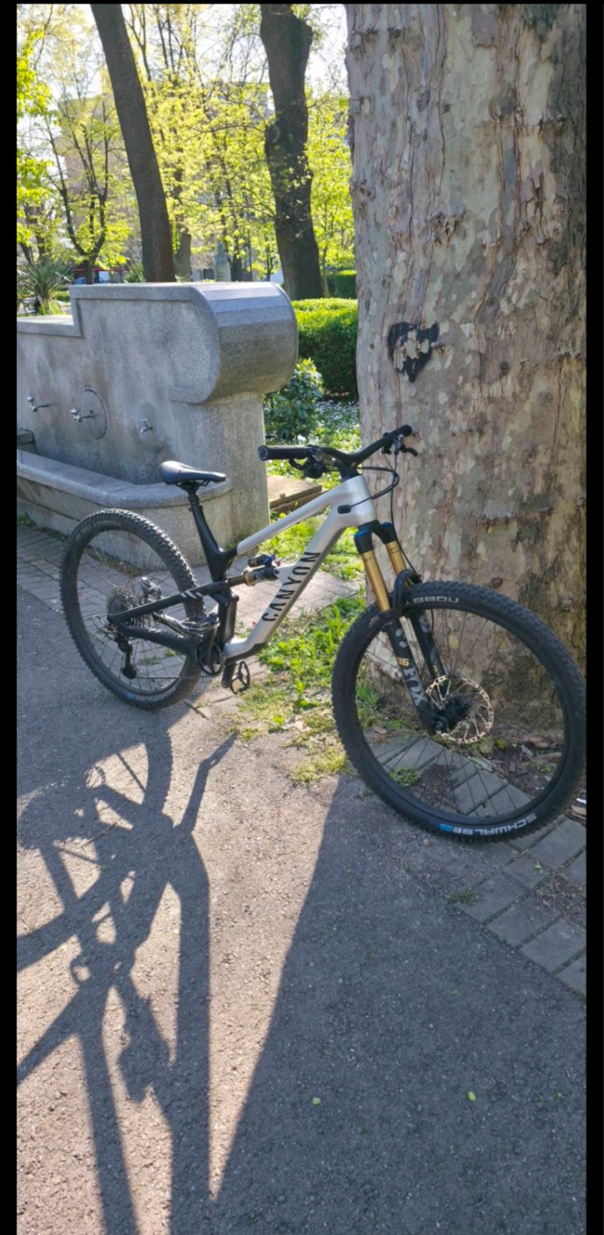 Canyon Strive CF 9.0 view 2