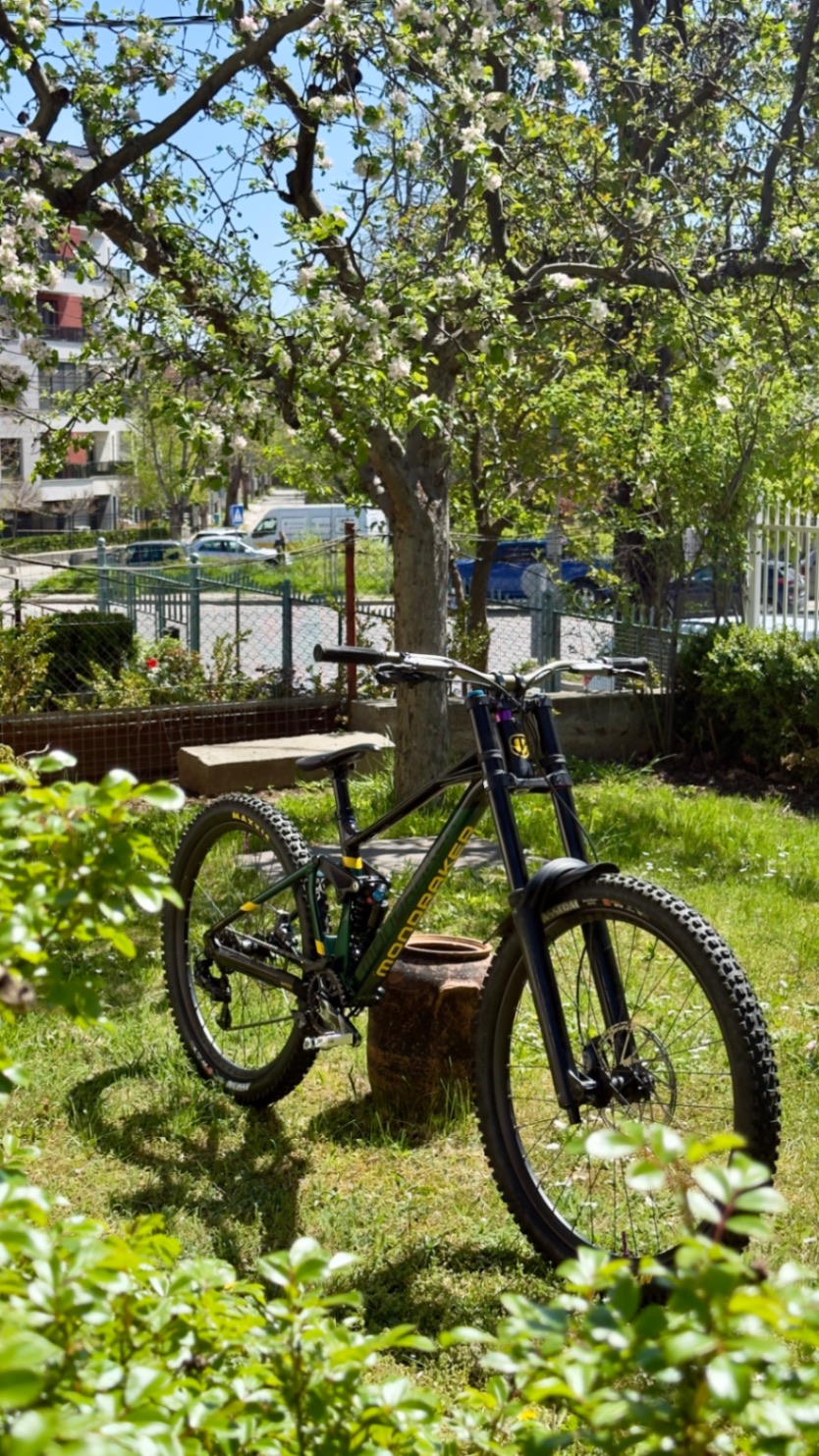 Bike view 6