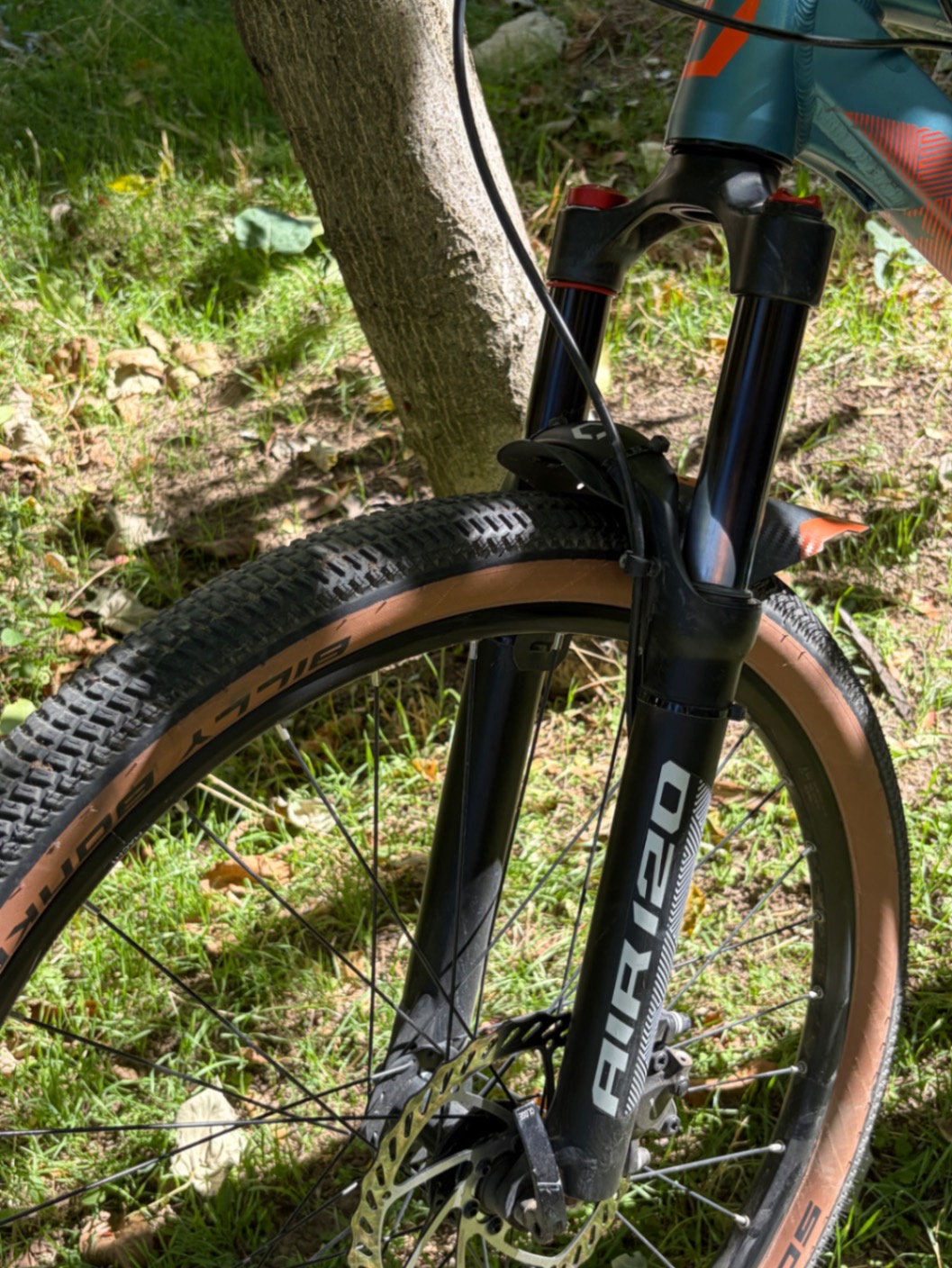 Bike view 9