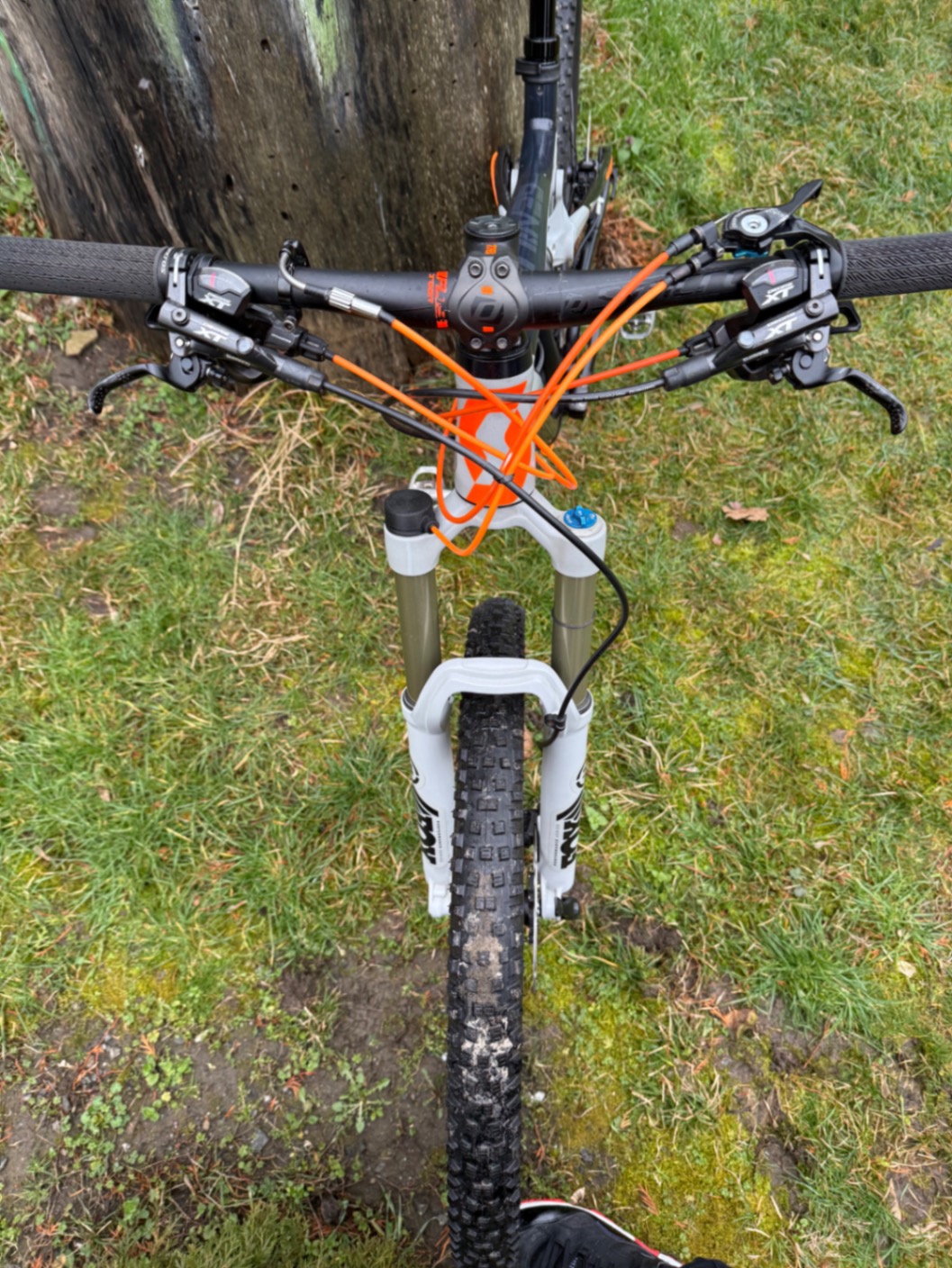 Bike view 8