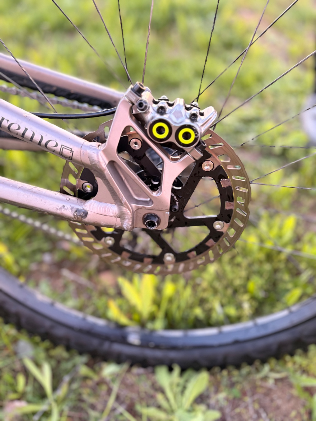 Bike view 8