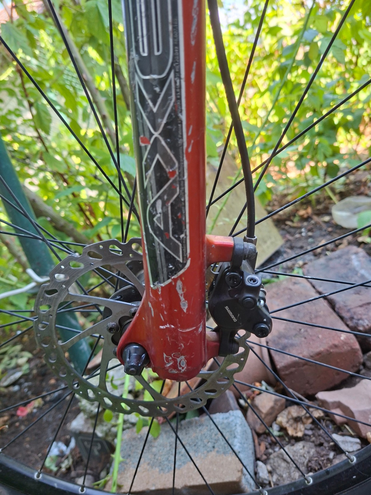 Bike view 2