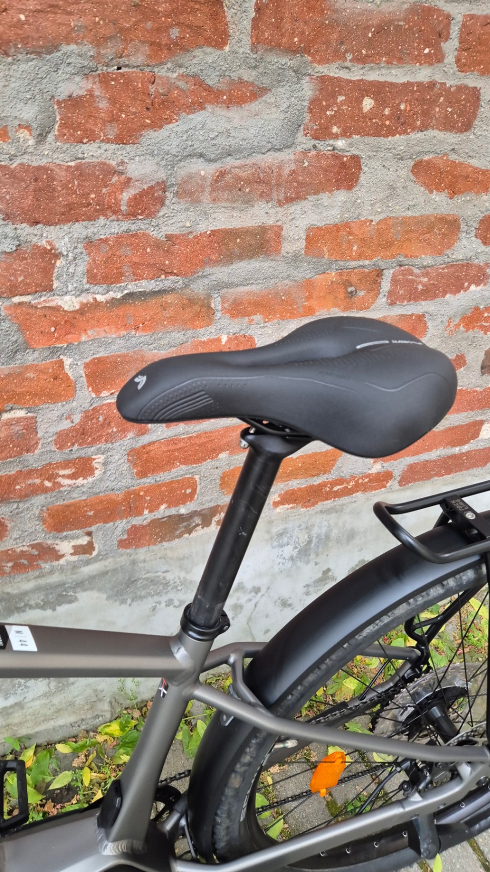 Bike view 11