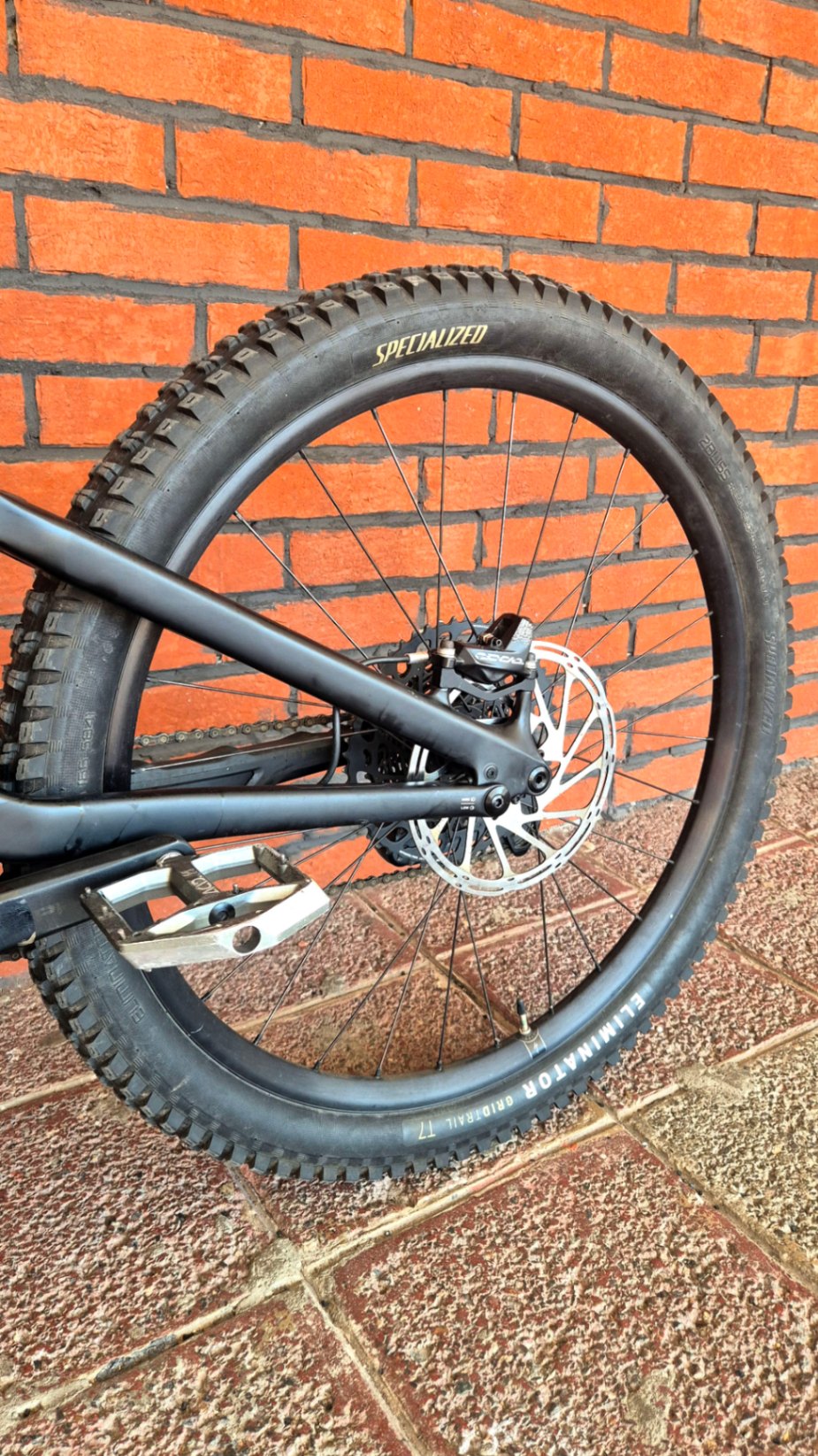 Bike view 9