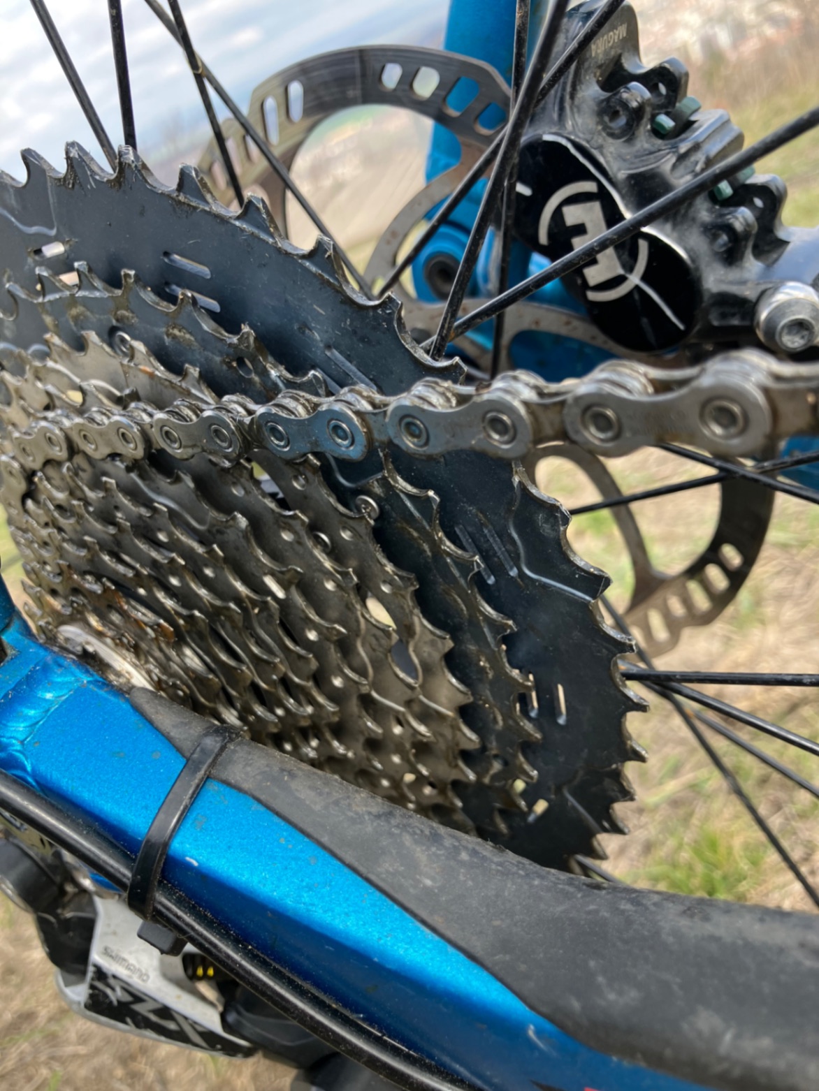 Bike view 9