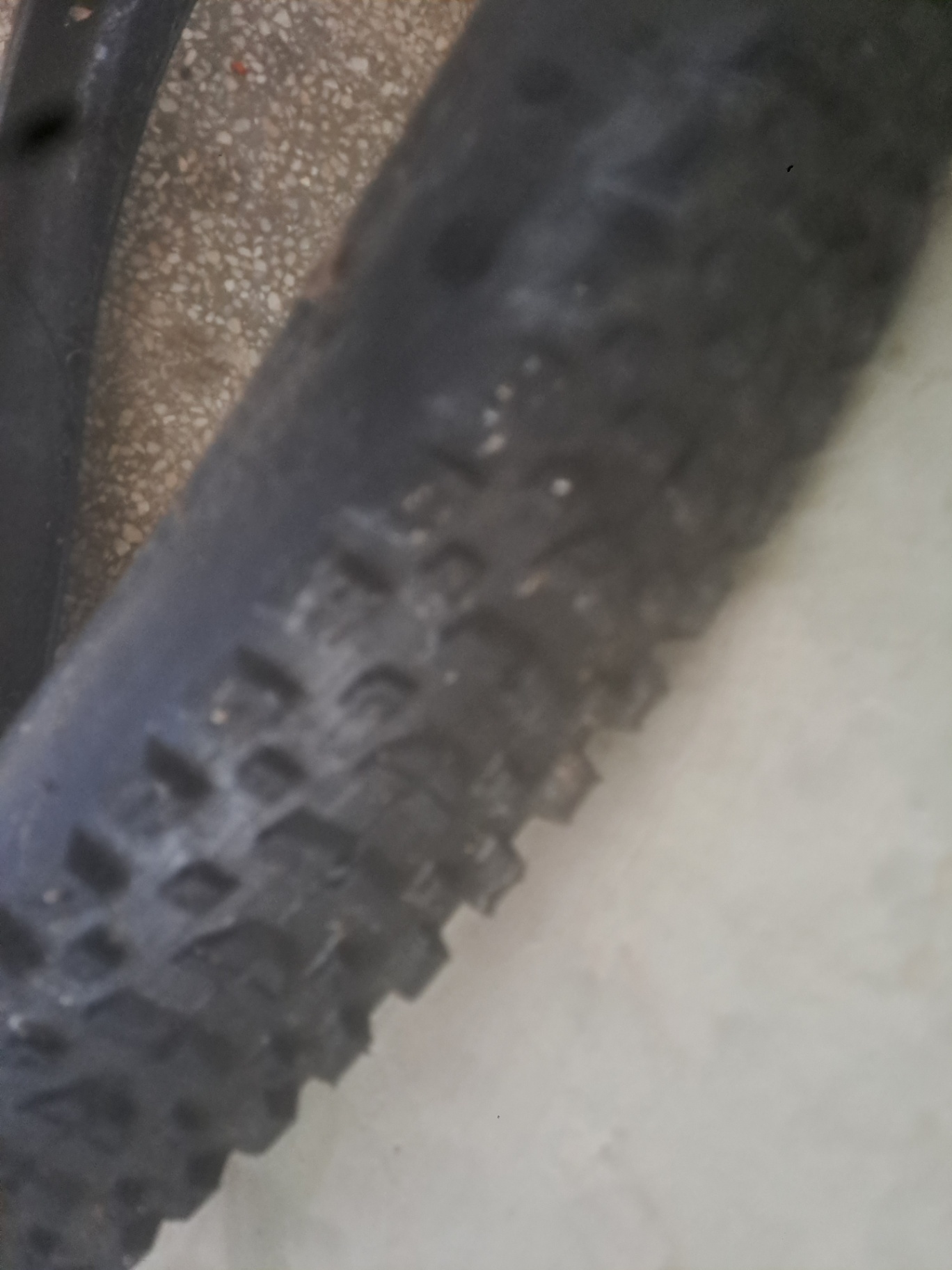 Maxxis Не знам