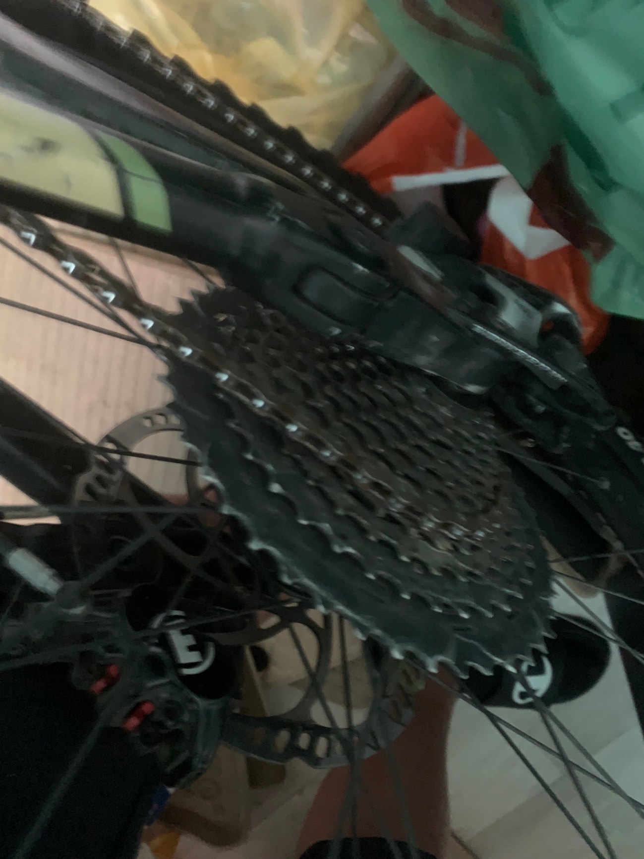 Bike view 5