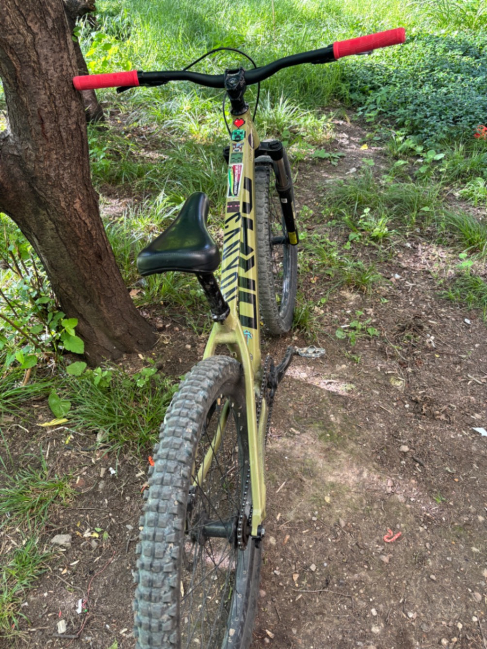 Bike view 4