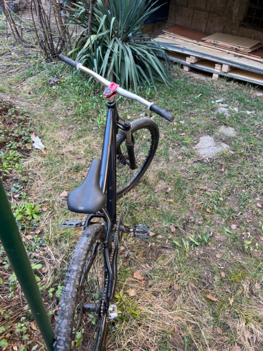 Bike view 6