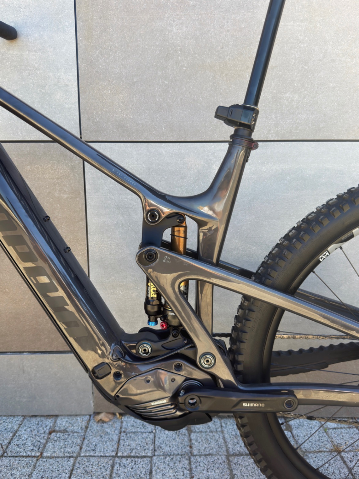 Bike view 10