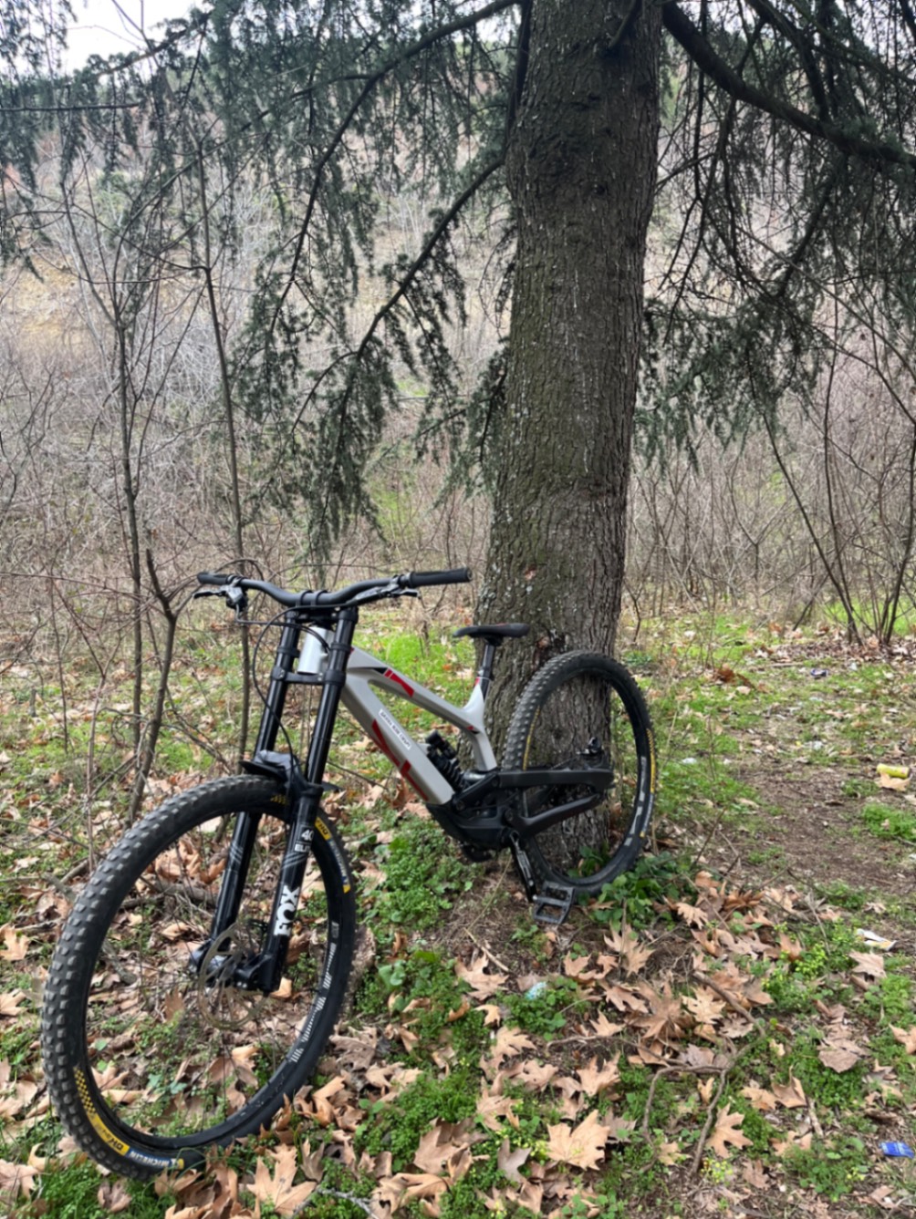 Bike view 7