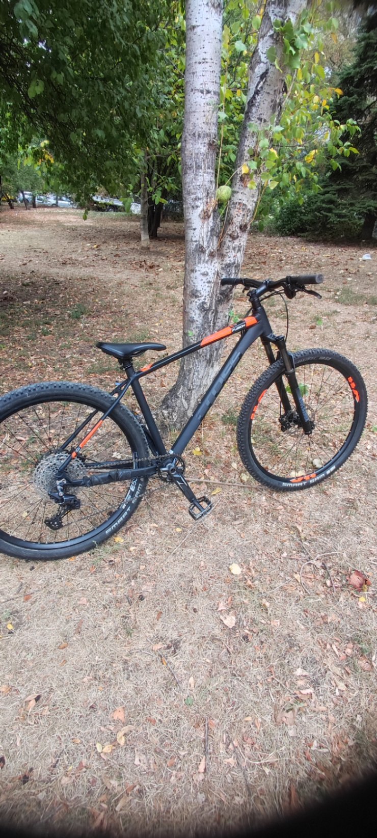Bike view 6