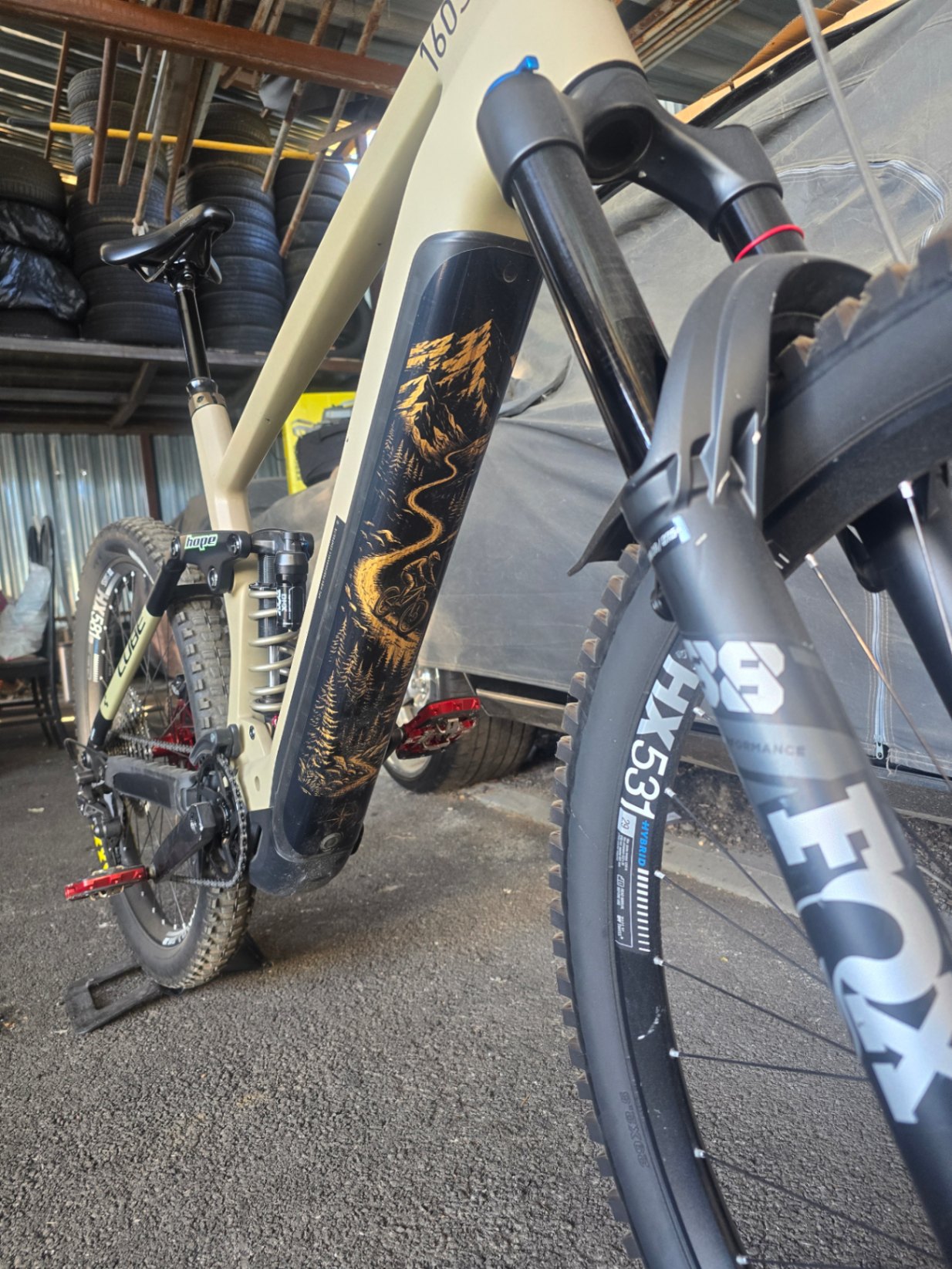 Bike view 7