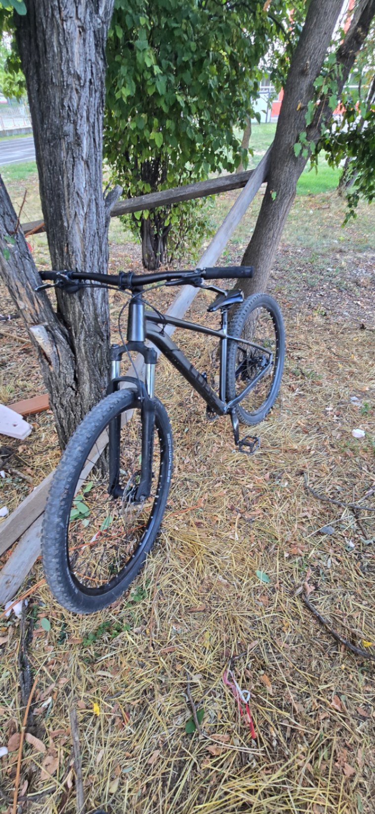 Bike view 2