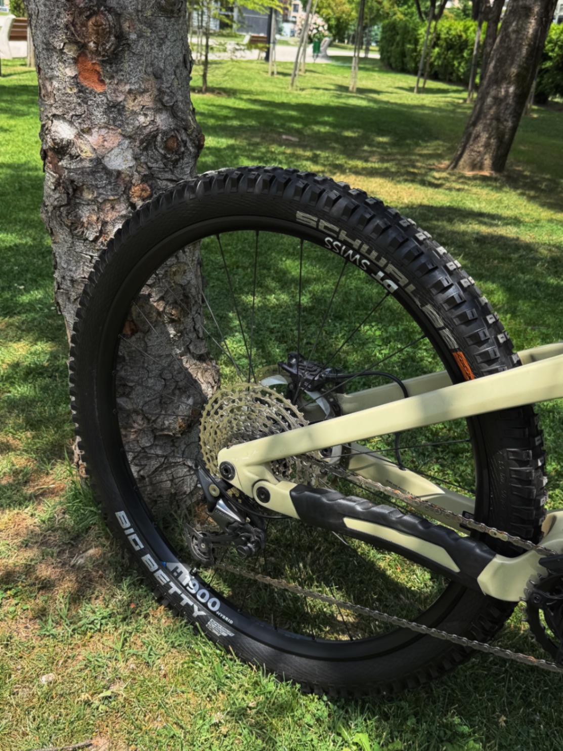Bike view 4