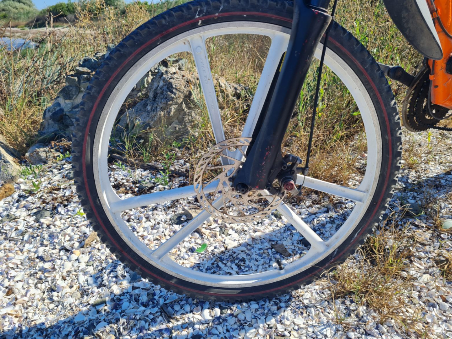 Bike view 6